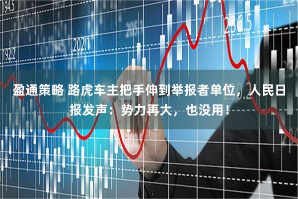 盈通策略 路虎车主把手伸到举报者单位,人民日报发声:势力再大,也没用!