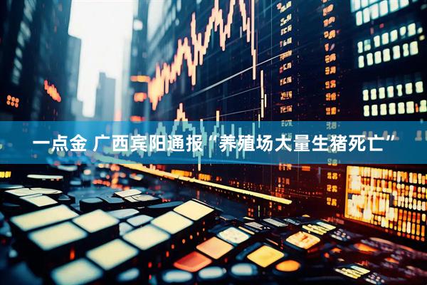 一点金 广西宾阳通报“养殖场大量生猪死亡”